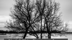 Black & White Elementary Course (NSA) (Singaporean/PR - aged 50 and above)